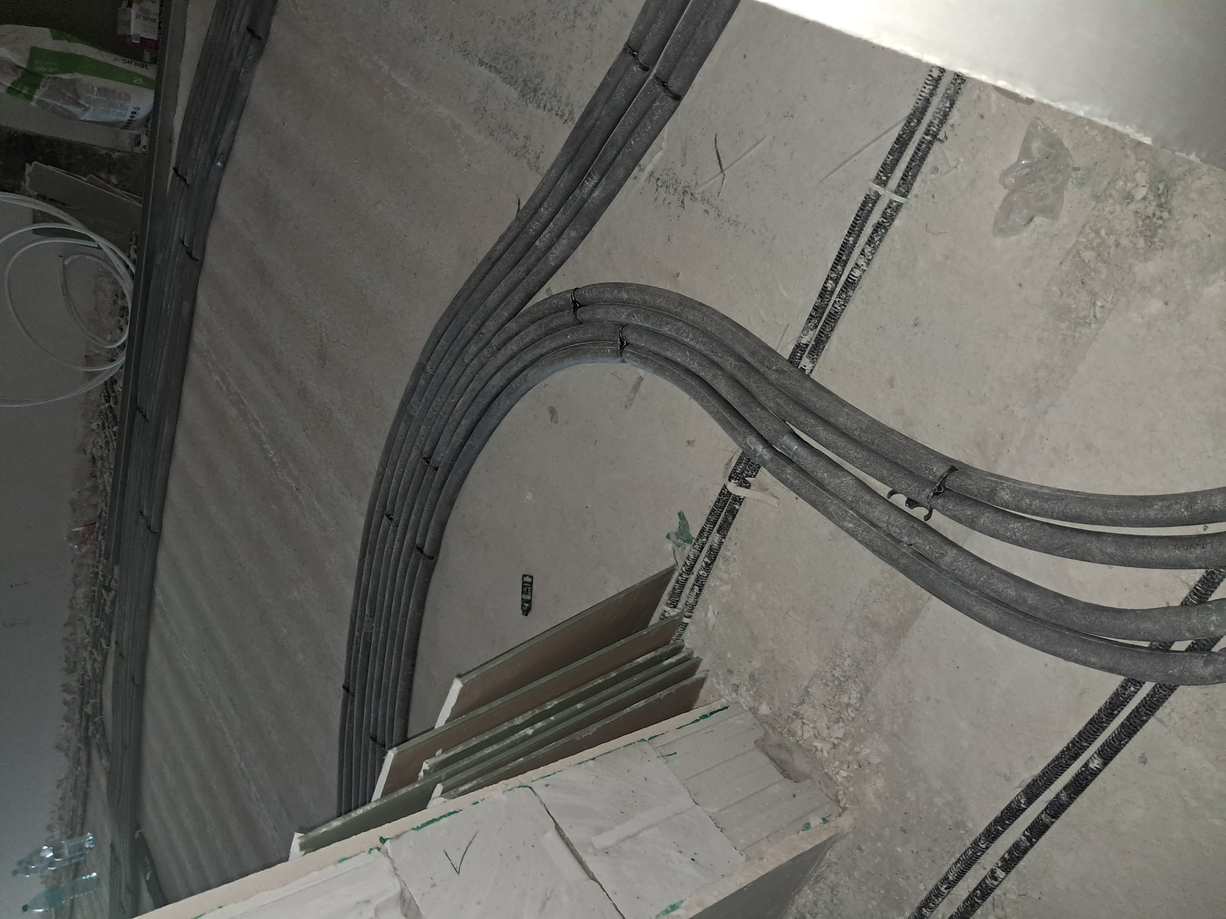 20260731_104735.jpg